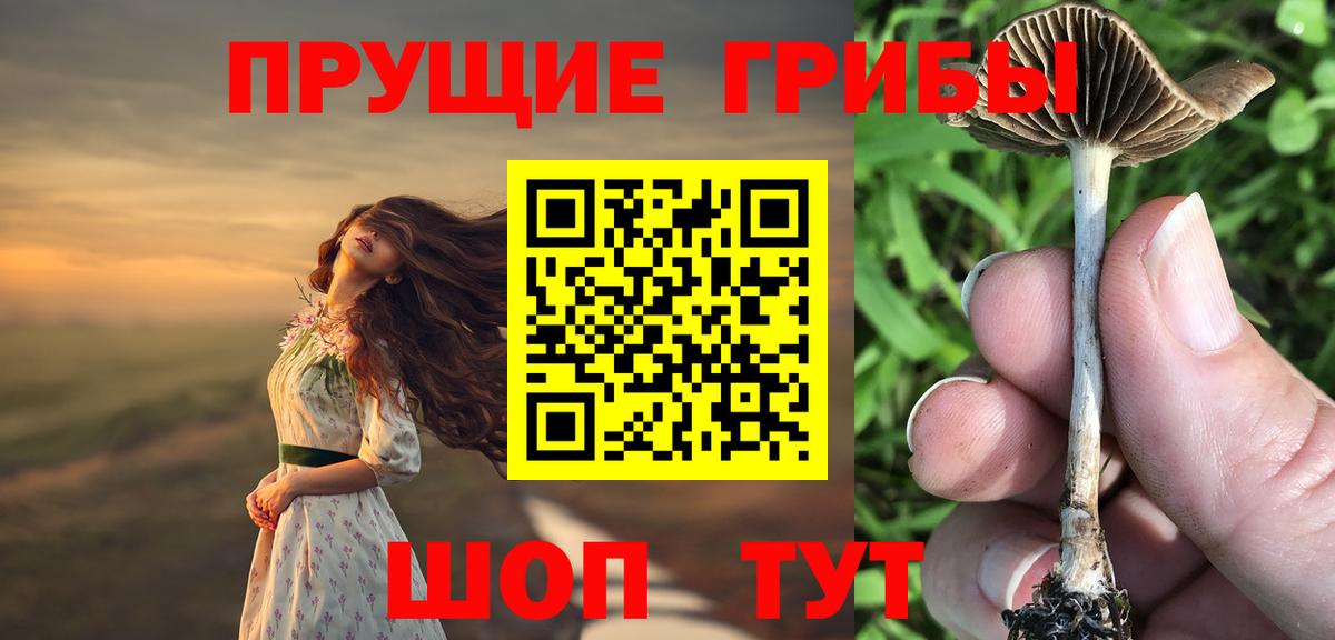 Галлюциногенные грибы GOLDEN TEACHER Павлово